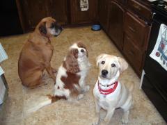 Is dinner ready yet?